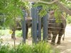 elephants02.jpg