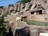 Milwaukee County Zoo Polar Bear.jpg