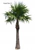 floridathatchpalmtree.jpg