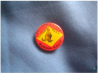 Hotham Park Zoo Badge.png