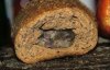 mice-in-bread.jpg