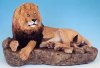 Lion.jpg