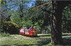 TrainJune1994HothamPark.jpg