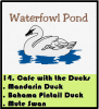 waterfowl pond.PNG