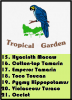 tropical garden.PNG