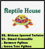 reptile house.PNG