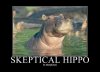 skeptical-hippo-1.jpg