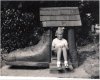 HothamParkOldWomanLivedInAShoe1957.jpg