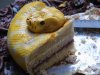 snake cake 6.jpg