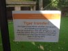 tigernotice.JPG