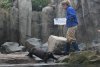 20080605_otter_33.jpg