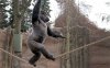 gorilla-tightrope_2439762b.jpg