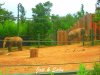 BeFunky_elephant_reserve-jati_and_sabu-193774.jpg