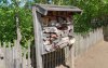 20190427_142632 insect hotel.jpg