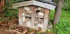20190427_144902 insect hotel.jpg
