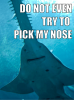 cute-saw-shark-smiling-shark-meme.png