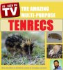 tenrec tv ad.jpg