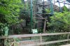 ocelot exhibit (doubled).JPG