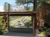 LA jaguar enclosure 3.jpg