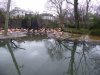 leipzig flamingos.jpg