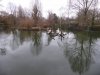 leipzig pelican pond.jpg