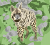 Striped hyena map.PNG