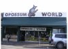 possum-world.jpg