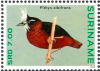 stamp white-plumed antbird.png