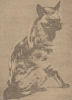 Aardwolf artis 1921.png