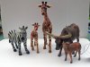 MY NEW MODEL WILDLIFE COLLECTION STARTED TO COLLECT AFTER LOCK-DOWN STARTED 23 03 2020  (21).JPG