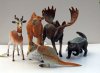 MY NEW MODEL WILDLIFE COLLECTION STARTED TO COLLECT AFTER LOCK-DOWN STARTED 23 03 2020  (42).JPG