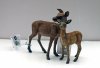 MY NEW MODEL WILDLIFE COLLECTION STARTED TO COLLECT AFTER LOCK-DOWN STARTED 23 03 2020  (54).JPG