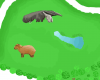 SA anteater and capybara.PNG