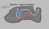 Alpine heights.png