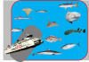 Burgers Wad - North Sea Aquarium (Open ocean tank) (commersial version).png