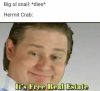person-big-ol-snail-dies-hermit-crab-s-free-real-estate.png