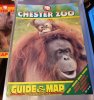 ORANGUTAN AND BABY - CHESTER ZOO GUIDE BOOK (2).jpg