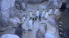 king penguin chick.PNG