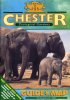 upton_chester_guidebook_1996ca_1.jpg