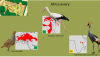 Zie-zoo - Africa aviary.png