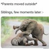Parents-moved-outside-Siblings-few-moments-later-meme-5608 (2).jpg