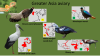 PLanckendael - Greater Asia aviary.png