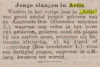 artis 1903 36 anacondas gekweekt 1902 - boas in 1903 nov. 1903.png