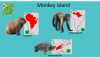 Pakawi - Monkey island.png