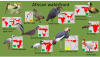 Planckendael - African waterfront aviary.png
