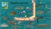 Pakawi - Reptile corridor.png