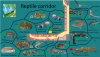 Pakawi - Reptile corridor.png