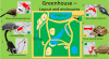 Pakawi - Greenhouse layout.png