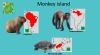 Pakawi - Monkey island.png