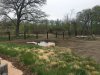 11 New Fence in Elephant, Zebra Exhibit.JPG
